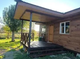 Cabaña la nonita, queule