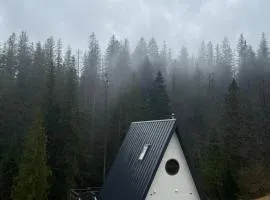 Лісовий Трикутник