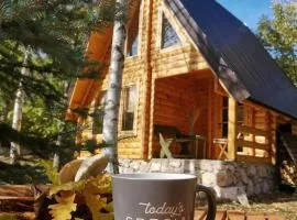 Forest Rhapsody Brezna