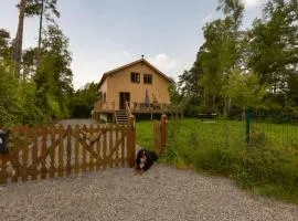 Luxury chalet with sauna in the forest