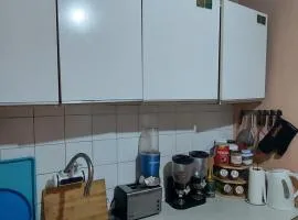 Seosko turističko domaćinstvo Jančić