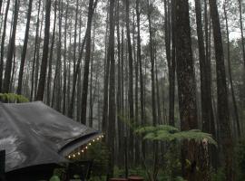 Lembah Pinus Cikole, Hotel in Tangkubanperahu