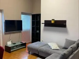Apartma Drapšinova - Celje