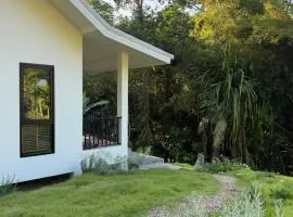 The Whispering Palm Coconut Lane