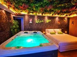 RELAX SPA-4 Pers-Jacuzzi-Parking-Jardin-Clim-Colmar