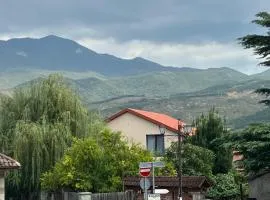 Mtskheta View Hotel