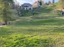 Gîte O Zânes Zen