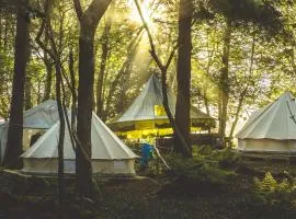 Exclusive Woodland Camp, Cornwall