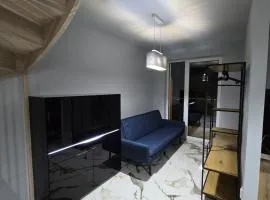 Sosnowy Las Two Level Apartment