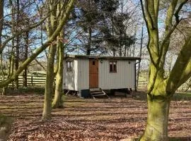 Little Orchard Retreats