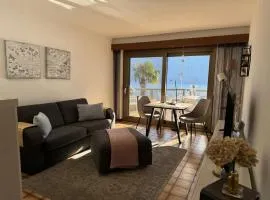 Brissago Lake and Pool Studio Lake View Indoor Pool