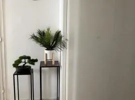 Stylish Single room only excluding Living room