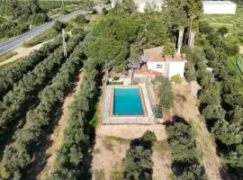 Casa de huéspedes independiente - 5 pax - en Finca El Palmar