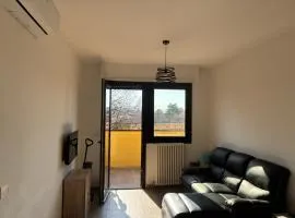 Bilocale con terrazzo Trebbo di Reno BolognaFiere
