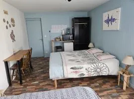 Chambre avec 2 lits double, douche et WC privés - Accès autonome - Parking