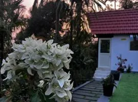 GreenSpun Nature stay