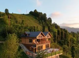Pisa Villa-Bungalov