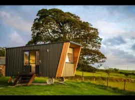 1 Bed in Ponsonby oc-l37879