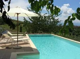 Panoramic villa on the hills of the Langhe among the vineyards large swimming pool