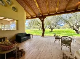 Nature's Pool Apartments