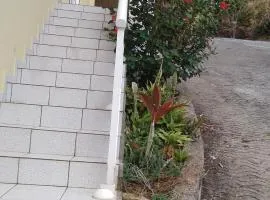 SOLEIL DES CARAÏBES