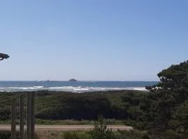 Coastal cottage with stunning ocean views & private gas grill - dogs welcome