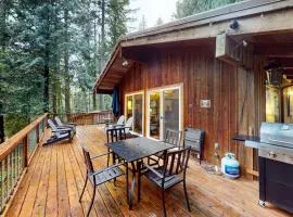 Secluded dog-friendly cabin with two fireplaces washer&dryer deck & firepit