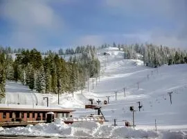 Charming Home with a Private Hot Tub SHARC Passes Fast WiFi and Central AC