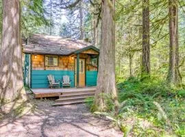 Modern cozy dog-friendly mountain retreat in central location