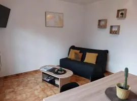 Maison chaleureuse avec terrasse et vue baie