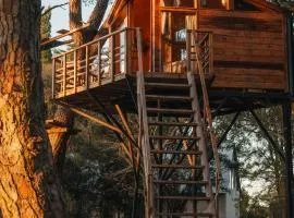 Treehouse Elena