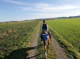 Farm vacation with wellness and horses, khách sạn ở Laberweinting