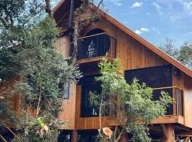 Cabana Casa na Árvore Ninho dos Pássaros