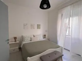 Casa Curiosa