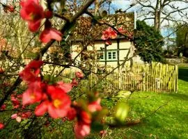 Ferienhaus "Alter Speicher" im DümmerWeserLand