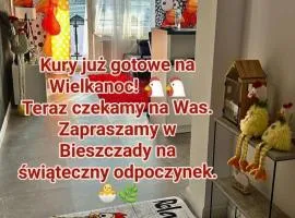 Apartament Ustrzyki Dolne "Dark-Wolf"