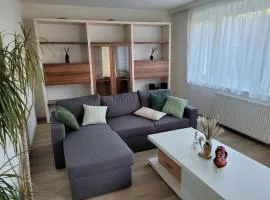 Ferienwohnung Birkenhügel