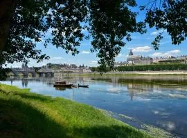 Séjournez face au Château Royal de Blois