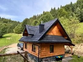 Polana Swięty Spokój domek na odludziu