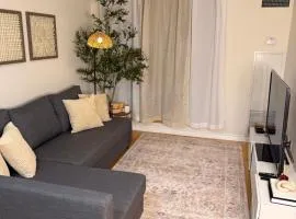 Cozy Downtown Toronto Stay Walk to CN Tower BMO FIFA Field