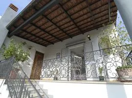 Rosa di Ischia - Holiday