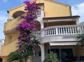 Apartments Visnja