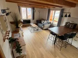 Appart Duplex Chalet plein Sud