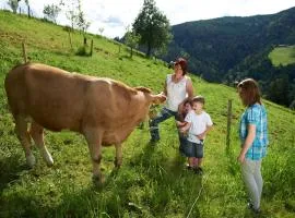 Farm Stay Gradišnik Peaceful Countryside with Homemade Breakfast