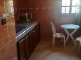 Premium Services