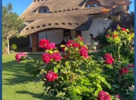 Pensiunea Casa Sobarului, hotell i Molovata