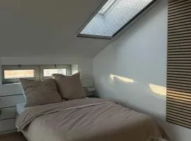 Helle, moderne Wohnung in der Innenstadt