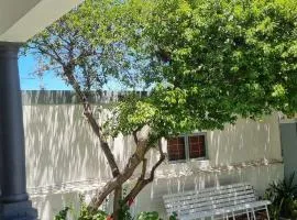 TWINHOUSE-Cape Town