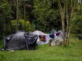 Camping La Lupita