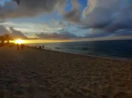 Au chant des oiseaux